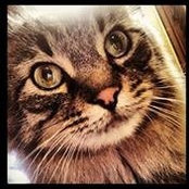 Dan Rogney's photo