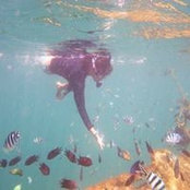Zara Raynes's photo