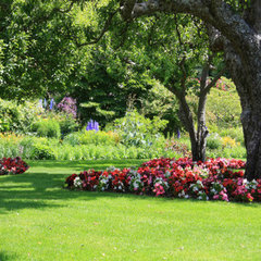 Sanchez Landscaping