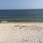 Frank Lassiter's photo