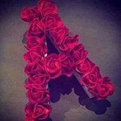 Foto von Roofa Rose