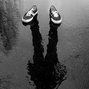 Tony Diaz's photo