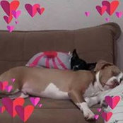 Dianna Trehy's photo