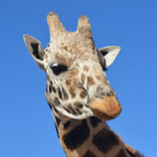 Joe Lembo's photo