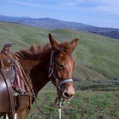 Kristi Litman's photo