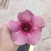 Katrina Gleba's photo