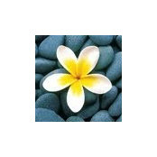 Amanda Allan's photo