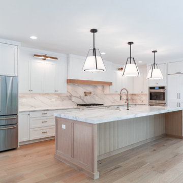 Modern Farmhouse Modified Hampton | Oak Bluff Estates Lemont, IL