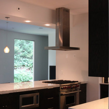 Buckhead Modern Home Remodel
