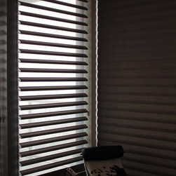 Hunter Douglas Pirouettes - Chicago - Window Treatments