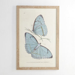 Butterfly Kisses Wall Art - Artwork
