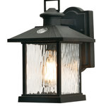 AFX Inc. - Lennon, 1-Light 12" Outdoor Wall Sconce, Black Finish/Clear Glass - Features: