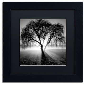 "Lightning Tree I" Matted Framed Canvas Art by Moises Levy