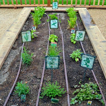 Gardens