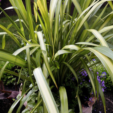 Potted Designs