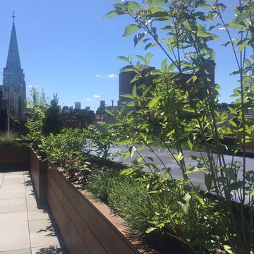 Chelsea Residential Rooftop