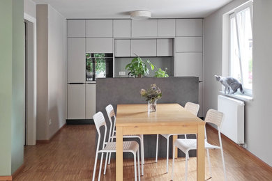 Moderne Küche in Dresden