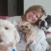 Laurie Van Ackeren's photo
