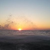 Photo de Brad Chastain