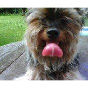 Lisa Rogers's photo