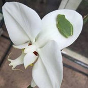 Kathleen Smith's photo
