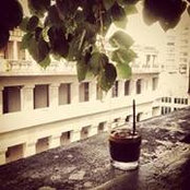 Pham Quang's photo
