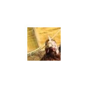 Sakiko Wada's photo