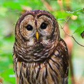 Trish Deutsch's photo