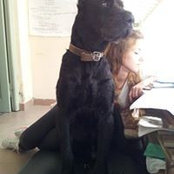 Elinor Aeberhard's photo