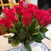 Lynette Fraga's photo
