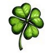 DEBORAH BEROFF's photo