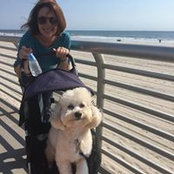 Pamela Goodman's photo