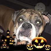 Jackie Lemly's photo