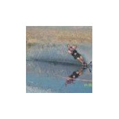 Wayne Waldron's photo