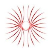 Andreea Tinica's photo