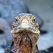 Kirc Breden's photo