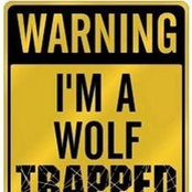 Ben McKinnonさんの写真
