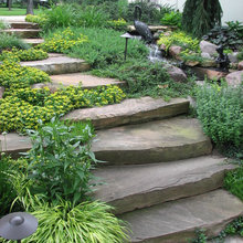 Permaculture Garden