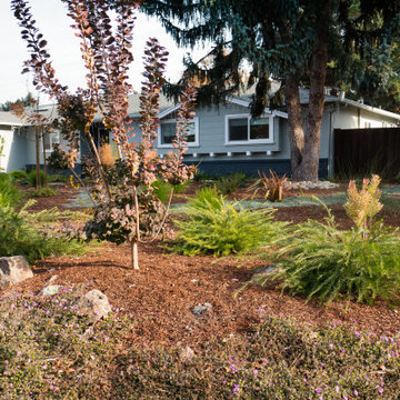 Lawn Removal in Los Altos