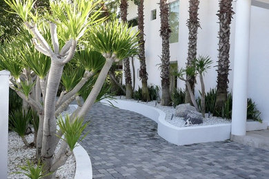This is an example of a mid-sized transitional front yard brick driveway in Miami.