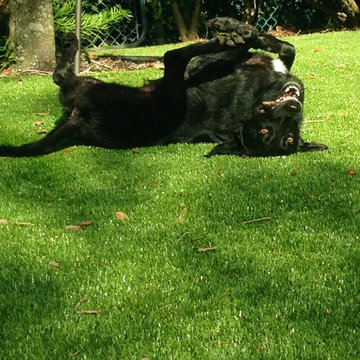 Artificial Grass