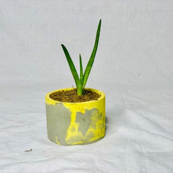 Concrete decor product - Products