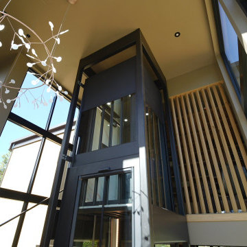 Antera - Residential Elevator