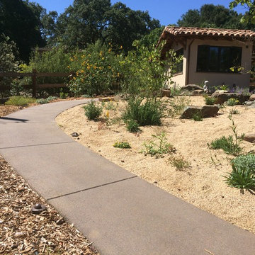 Natural pervious concrete paths with PerkTop