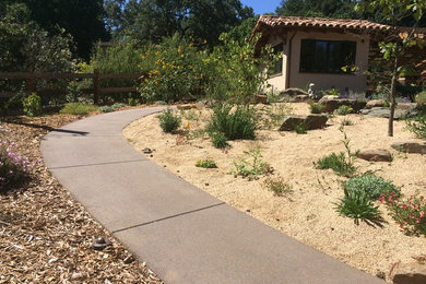 Natural pervious concrete paths with PerkTop