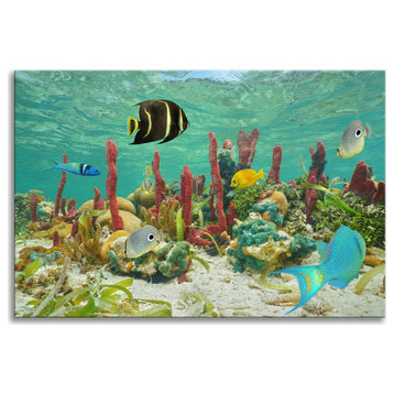 Colorful Tropical Fish Marine Life Coral Reef Wildlife Photo Canvas Art Print, 18" X 24"