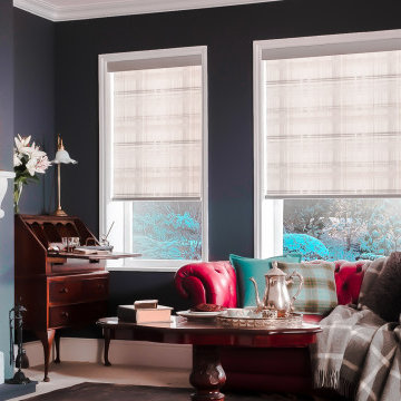 Living Room Blinds
