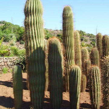 giardino Pantelleria