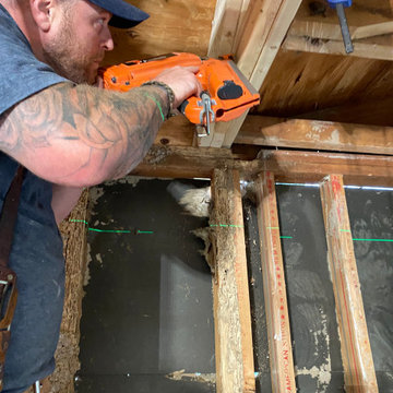 Bowie Termite Damage Repair