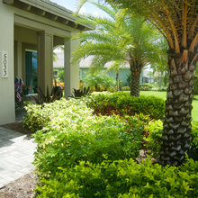Pelican landscaping